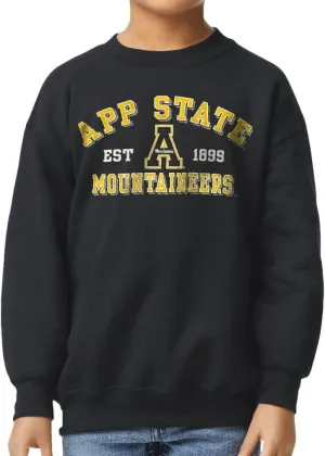 Barnesmith NCAA Unisex Youth Crewneck Sweatshirt, Vintage Logo, Color