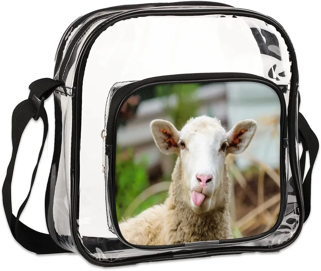 Clear Crossbody Bag Stadium Approved for Women and Men Transparent Messenger Shoulder Bag Clear Purse Bag