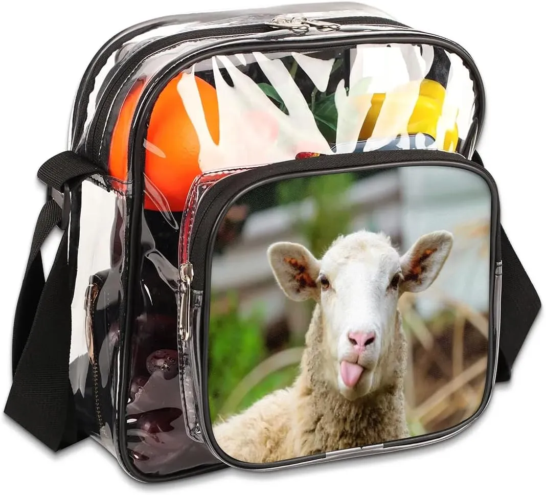 Clear Crossbody Bag Stadium Approved for Women and Men Transparent Messenger Shoulder Bag Clear Purse Bag