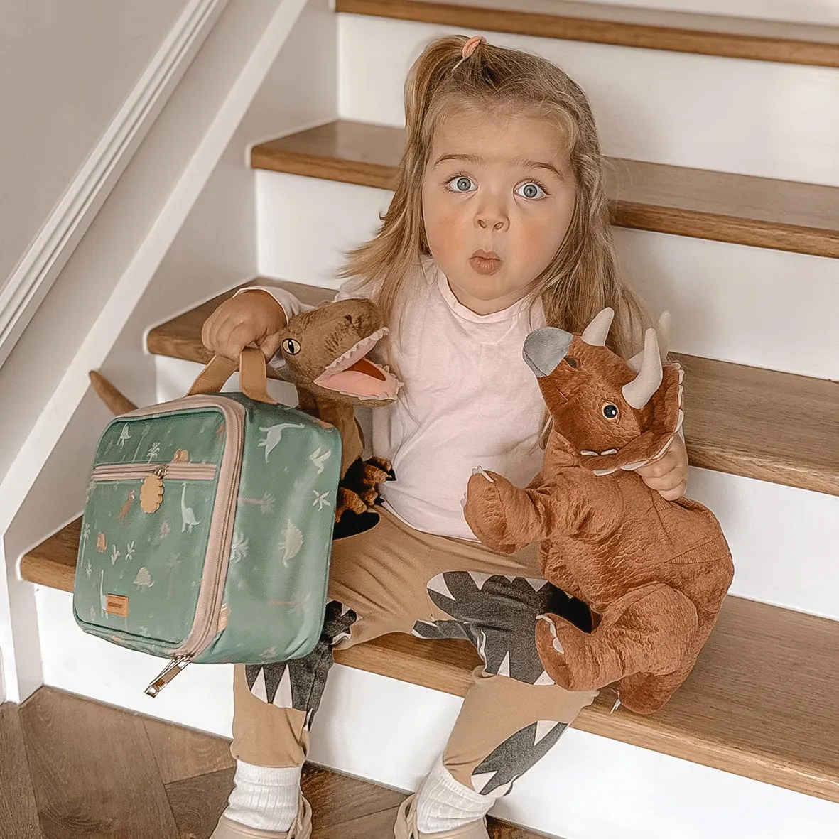 Dinos Lunch Bag | Fox & Fallow