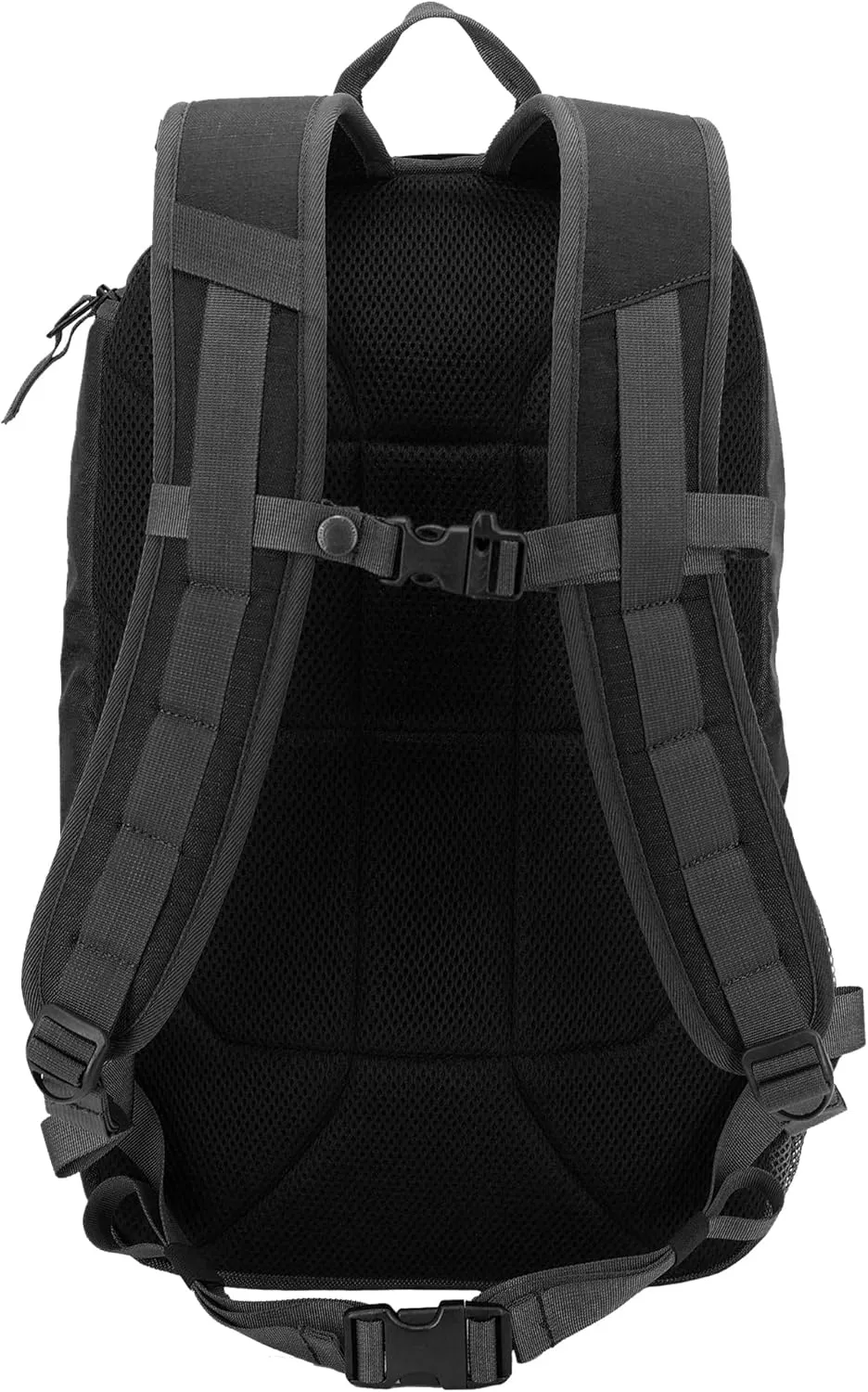 Eddie Bauer Cargo Backpack with Organization Compartments and Hydration/Laptop Compatible Sleeve, Black, 30L