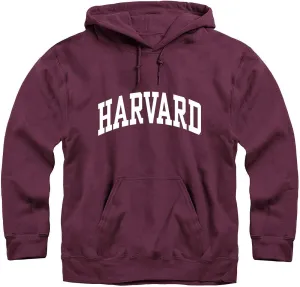 Hooded Sweatshirt, Unisex, Essential Logo, Premium Color Heavyweight Cotton