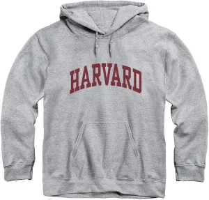 Hooded Sweatshirt, Unisex, Essential Logo, Premium Grey Heavyweight Cotton