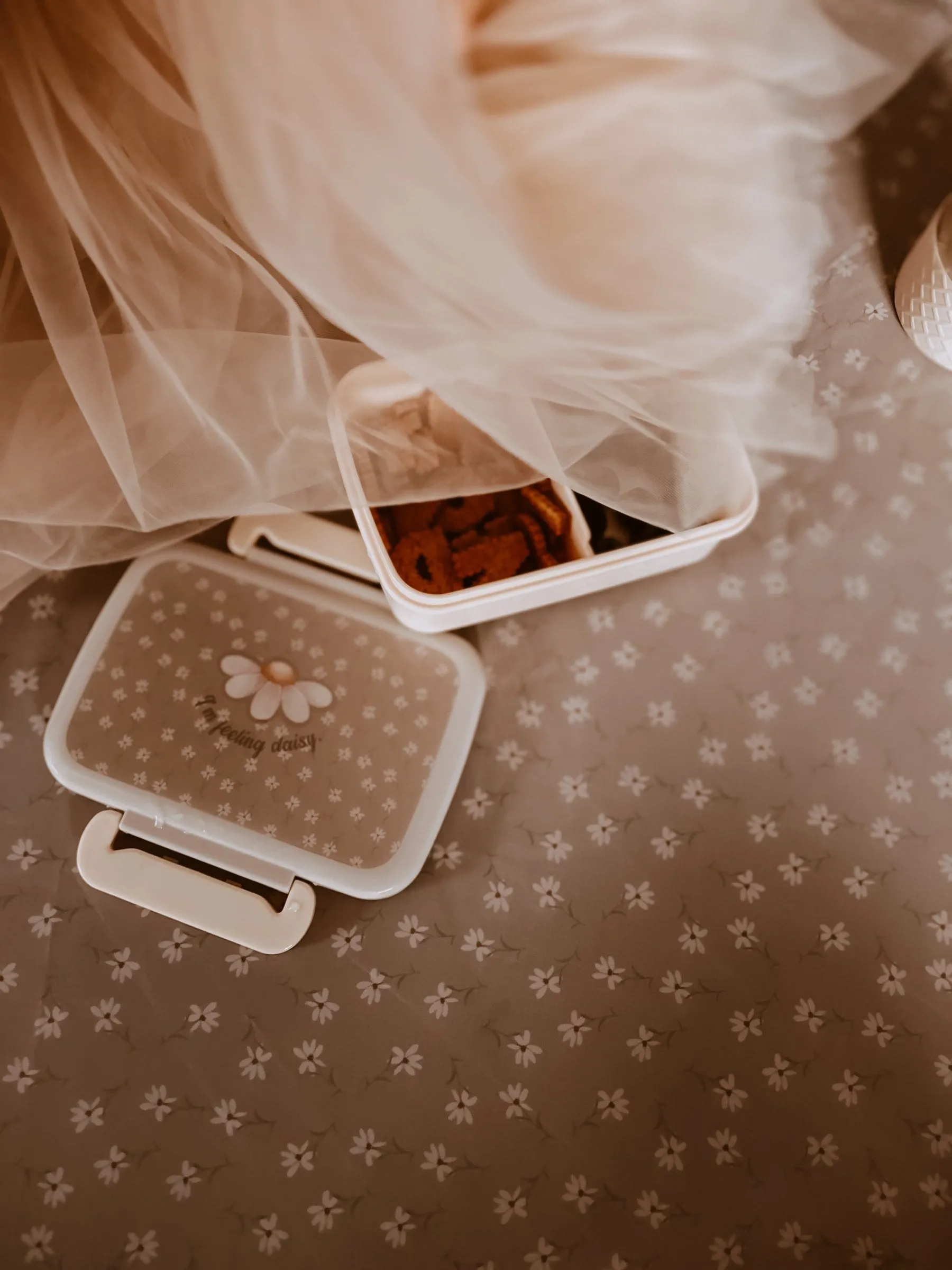 Lunch box - Feeling Daisy