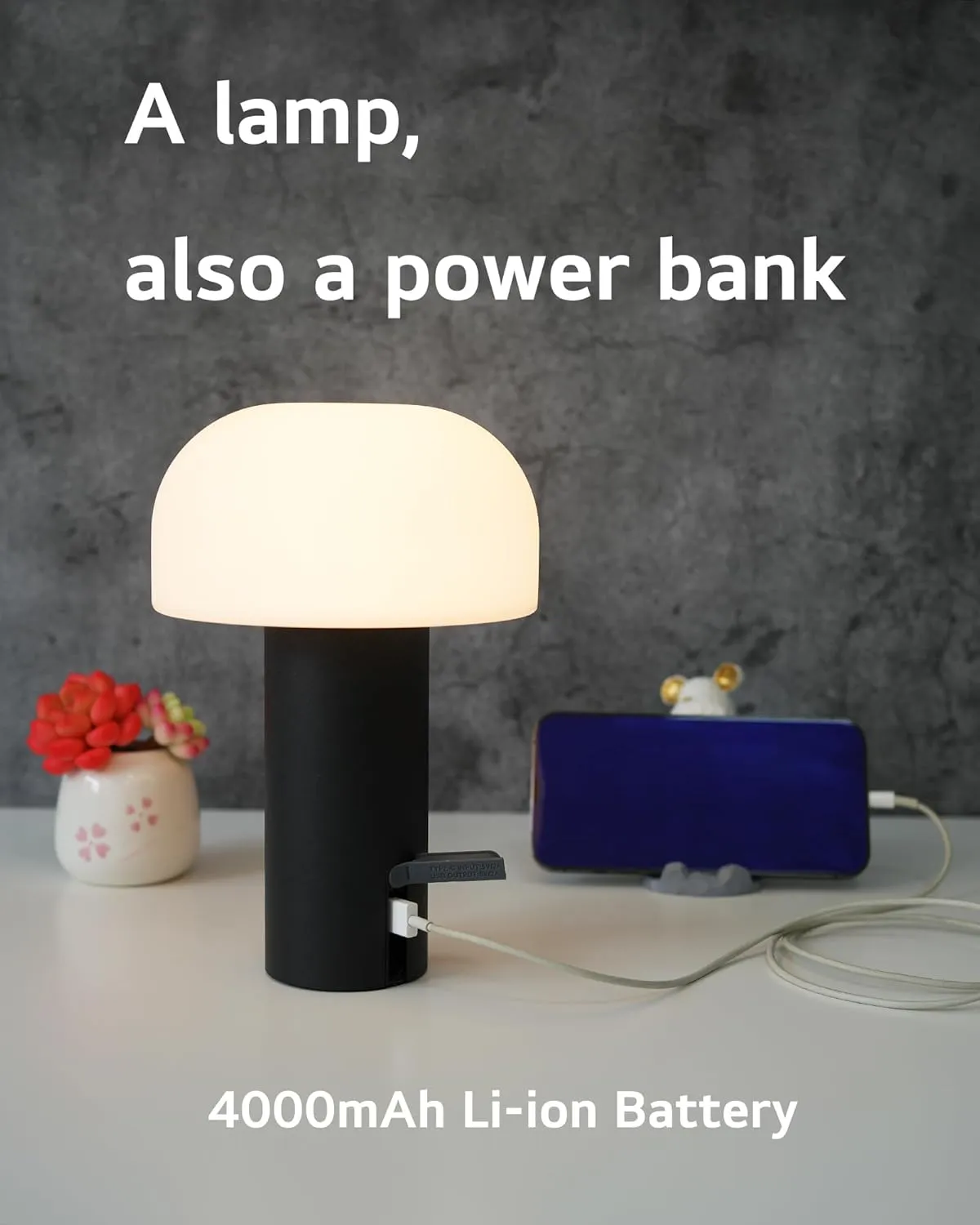 Outdoor Mushroom Table Lamp Rechargeable, Cordless Lamps for Patio Waterproof, Portable Battery Operated Lamp with USB Charging, Touch Dimming Night Light for Home/Porch/Restaurant (Black)