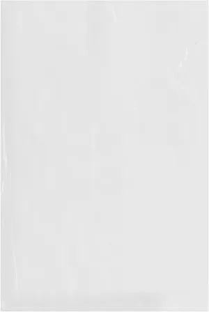 Plymor 12" x 18" (Pack of 100), 4 Mil Flat Open Clear Plastic Poly Bags