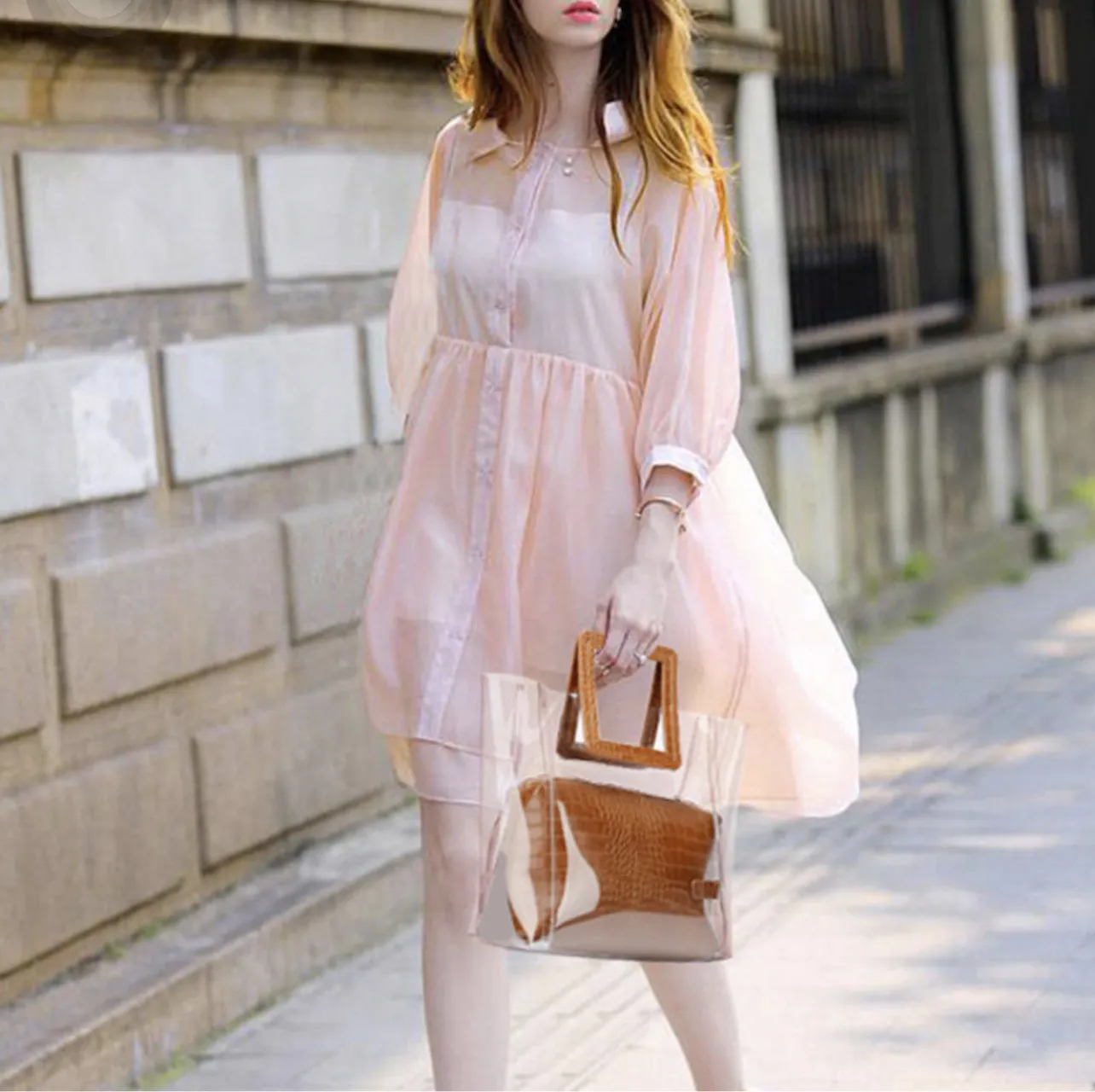 Transparent Handbag